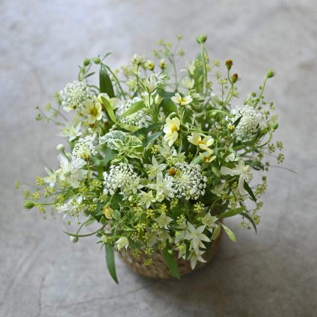 arrangement-42